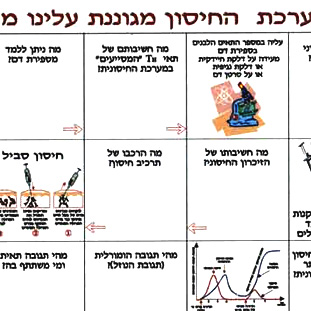 מערכת החיסון.משחקים לימודיים קבוצתיים וגם ללימוד פרטני בבתי הספר