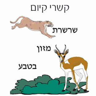 קשרי קיום