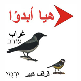 משחק ציפורים בערבית, קבוצתי, משחקים לימודיים