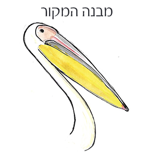 מבנה-המקור--עדנה-קרניאל-משחקים-לימודיים