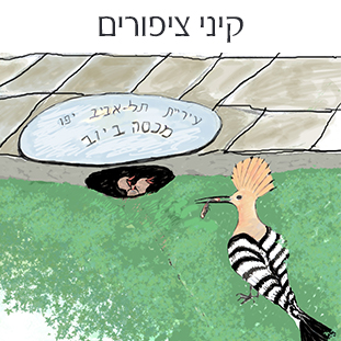 קיני-ציפורים-עדנה-קרניאל-משחקים-לימודיים